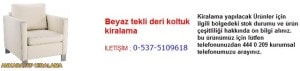 Ankara beyaz tekli deri koltuk kiralama