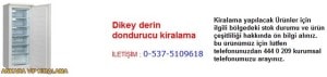 Ankara dikey derin dondurucu kiralama