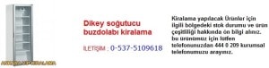 Ankara dikey soğutucu buzdolabı kiralama