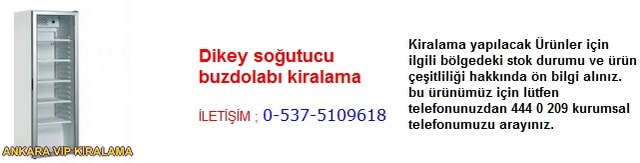 Ankara dikey soğutucu buzdolabı kiralama