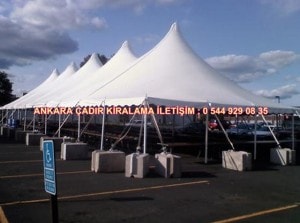 Ankara kiralık Kamelya