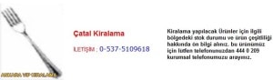 Ankara çatal kiralama